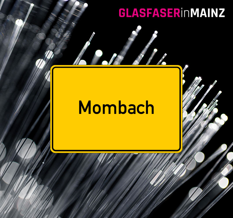 Glasfaser Ausbauort Mombach